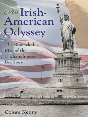 cover image of An Irish-American Odyssey